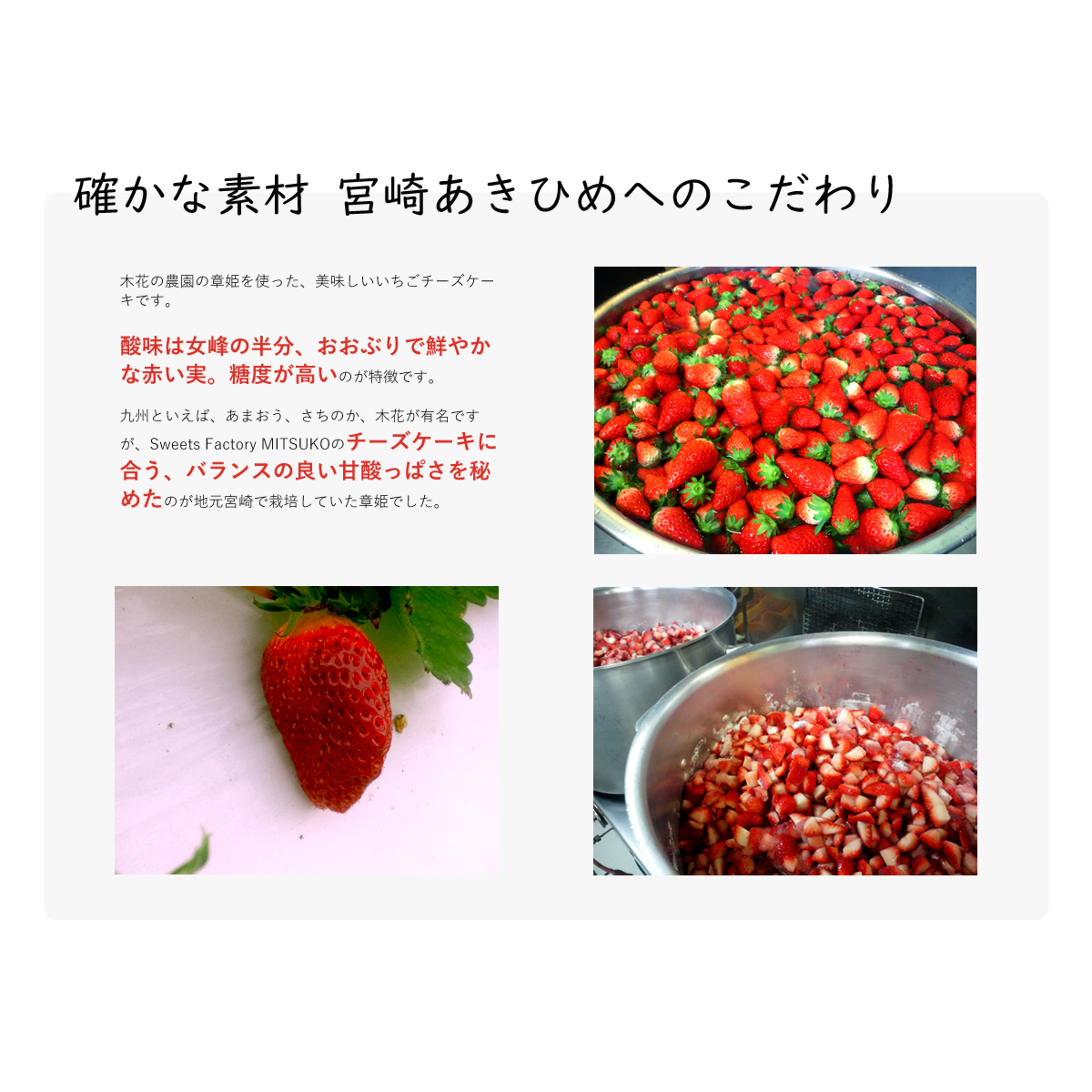 木花の農園の章姫を使った、美味しいいちごチーズケーキです。
酸味は女峰の半分、おおぶりで鮮やかな赤い実。糖度が高いのが特徴です。
九州といえば、あまおう、さちのか、木花が有名ですが、Sweets Factory MITSUKOのチーズケーキに合う、バランスの良い甘酸っぱさを秘めたのが地元宮崎で栽培していた章姫でした。